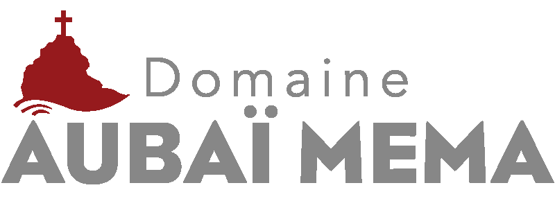 L’attribut alt de cette image est vide, son nom de fichier est Logo-aubai-mema-2-coul.png.